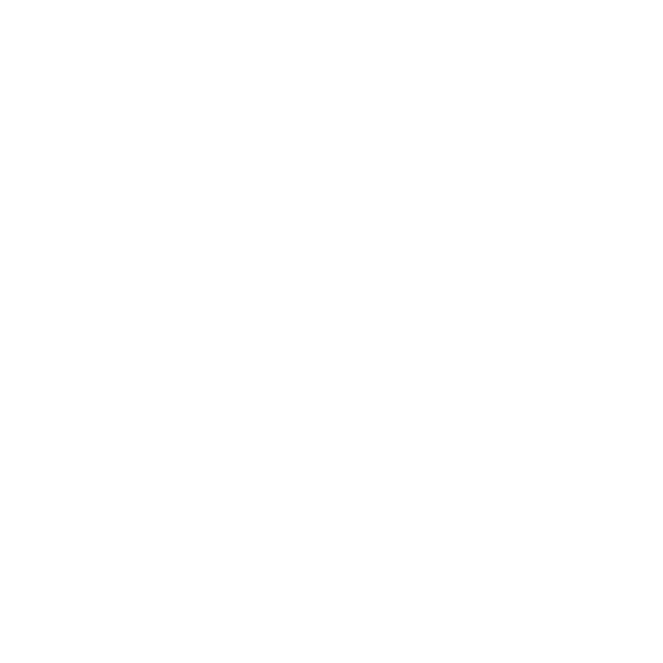 Instituto Couto Jr